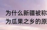 为什么新疆被称为瓜果之乡 新疆被称为瓜果之乡的原因