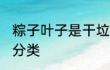 粽子叶子是干垃圾吗 粽子叶子的垃圾分类