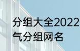 分组大全2022最新版的 高冷二字霸气分组网名