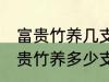 富贵竹养几支最旺运办公室 办公室富贵竹养多少支最旺运