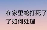 在家里蛇打死了怎么办 在家里蛇打死了如何处理