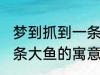 梦到抓到一条大鱼有什么兆头 梦见一条大鱼的寓意简介