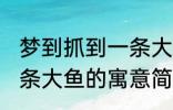 梦到抓到一条大鱼有什么兆头 梦见一条大鱼的寓意简介