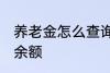 养老金怎么查询余额 养老金如何查询余额