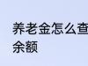 养老金怎么查询余额 养老金如何查询余额