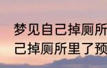 梦见自己掉厕所里了怎么回事 梦见自己掉厕所里了预兆什么