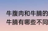 牛腹肉和牛腩的区别是什么 牛腹肉和牛腩有哪些不同