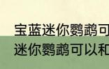 宝蓝迷你鹦鹉可与什么鱼一起养 宝蓝迷你鹦鹉可以和鱼一起养吗