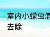 室内小蠓虫怎样去除 室内小蠓虫如何去除