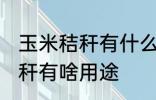 玉米秸秆有什么用途寻求合作 玉米秸秆有啥用途