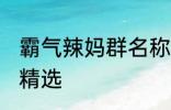 霸气辣妈群名称大全 霸气辣妈群名称精选