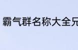 霸气群名称大全兄弟 霸气搞笑群昵称