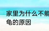 家里为什么不能养乌龟 家里不能养乌龟的原因