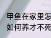 甲鱼在家里怎么养才不死 甲鱼在家里如何养才不死