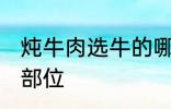 炖牛肉选牛的哪个部位 炖牛肉的最佳部位