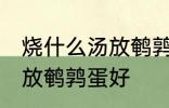 烧什么汤放鹌鹑蛋好一些啊 煮什么汤放鹌鹑蛋好