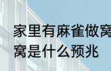 家里有麻雀做窝好不好 家里有麻雀做窝是什么预兆