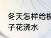 冬天怎样给栀子花浇水 冬天如何给栀子花浇水