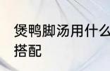 煲鸭脚汤用什么煲好 煲鸭脚汤的最佳搭配