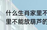 什么生肖家里不能放葫芦 什么生肖家里不能放葫芦的呢