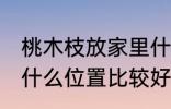 桃木枝放家里什么位置 桃木枝放家里什么位置比较好